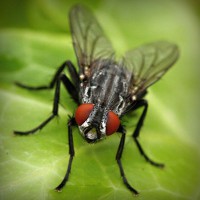 /album/tentsandpywre/photolia-a01-jpg/