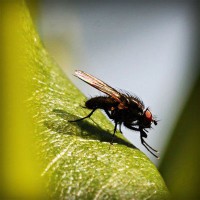 /album/tentsandpywre/photolia-a04-jpg/