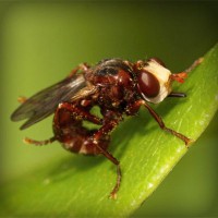 /album/tentsandpywre/photolia-a06-jpg/